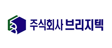브리지택